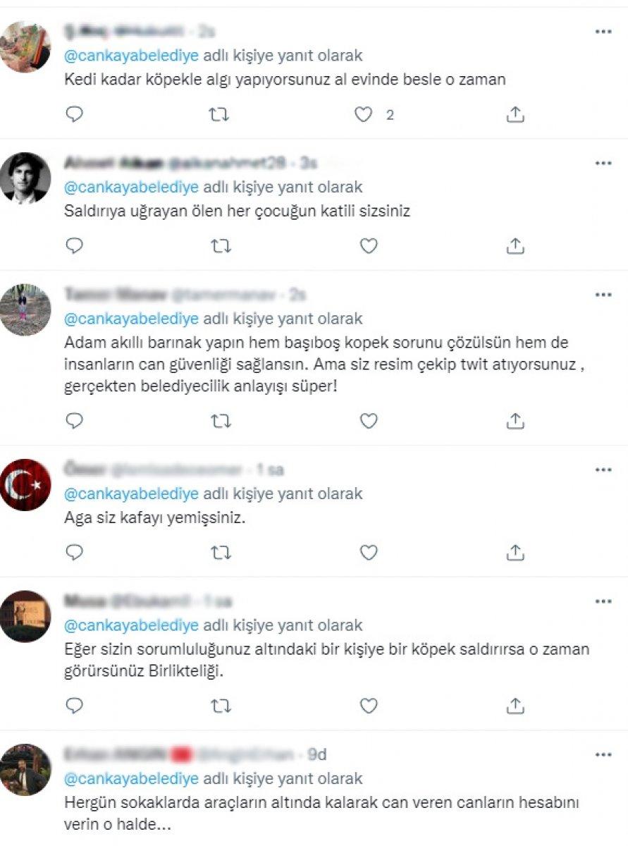 CHP'li belediyelerin sokak köpeklerine desteğine tepki
