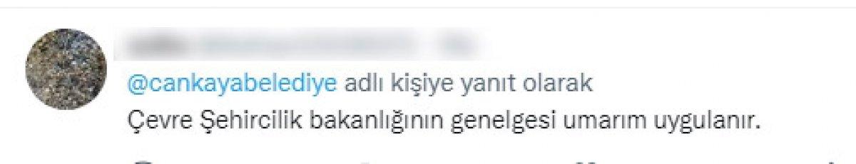 CHP'li belediyelerin sokak köpeklerine desteğine tepki