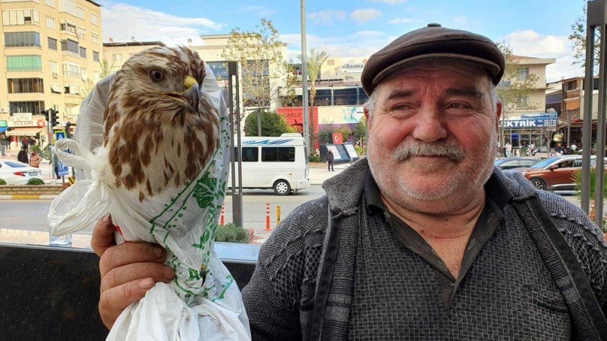 Aydın'da bir kişi bitkin haldeki şahini, Hakkı Bulut'la canlandırdı