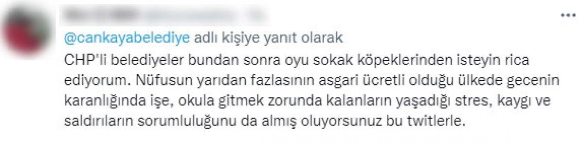 CHP'li belediyelerin sokak köpeklerine desteğine tepki
