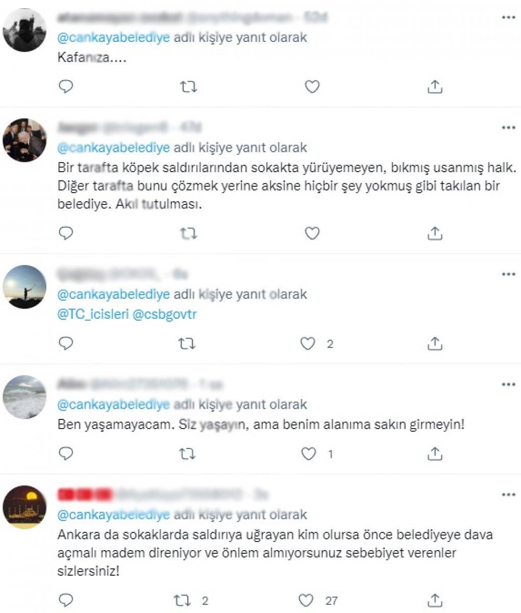 CHP'li belediyelerin sokak köpeklerine desteğine tepki