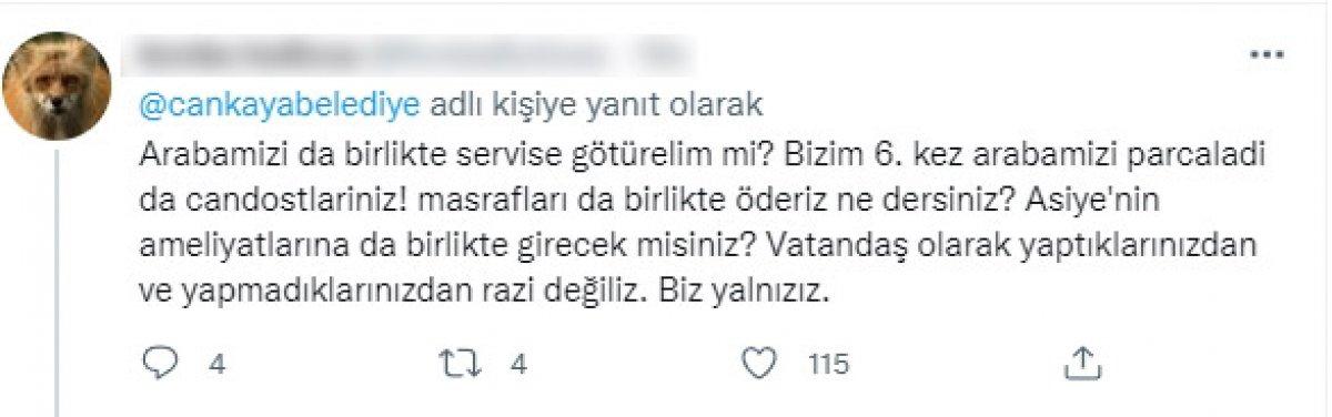 CHP'li belediyelerin sokak köpeklerine desteğine tepki