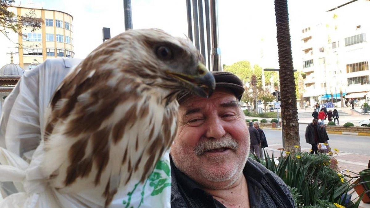 Aydın'da bir kişi bitkin haldeki şahini, Hakkı Bulut'la canlandırdı