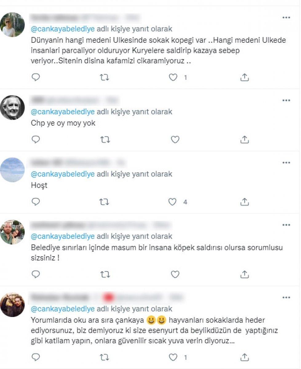 CHP'li belediyelerin sokak köpeklerine desteğine tepki