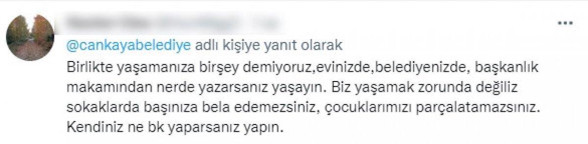 CHP'li belediyelerin sokak köpeklerine desteğine tepki