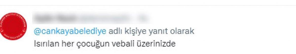 CHP'li belediyelerin sokak köpeklerine desteğine tepki
