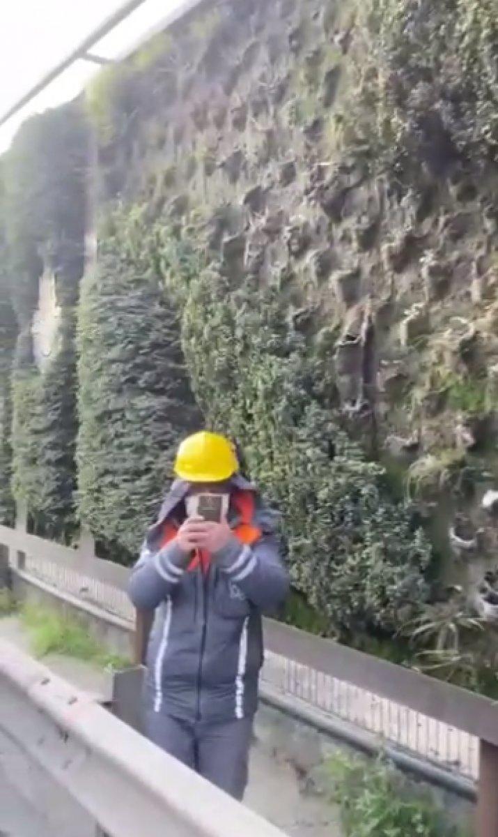 İstanbul'daki ekolojik yeşil duvarlar sökülüyor