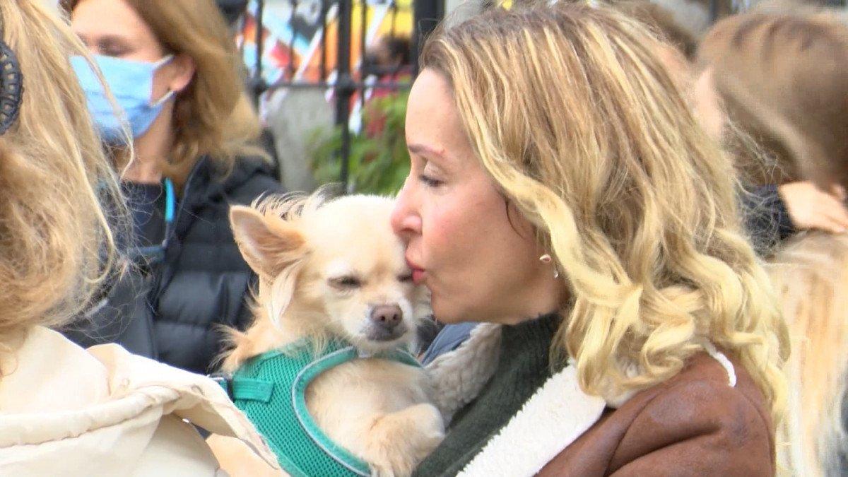 Beşiktaş'ta sokak köpekleri için eylem