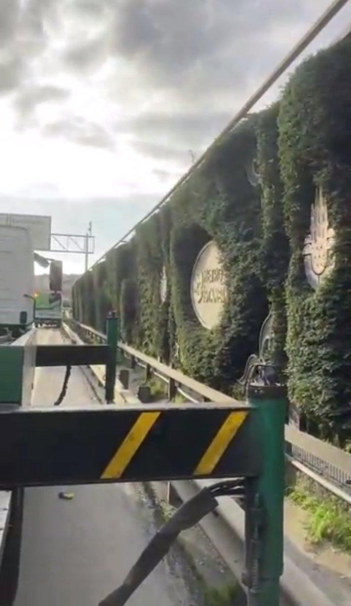 İstanbul'daki ekolojik yeşil duvarlar sökülüyor