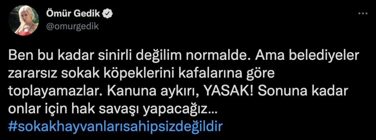 Ömür Gedik: Sokak hayvanları için sonuna kadar savaşacağız