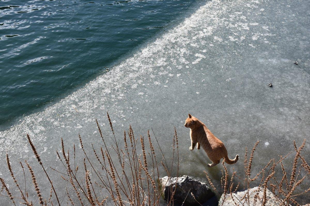 Uzungöl'ün yüzeyi buz tutmaya başladı