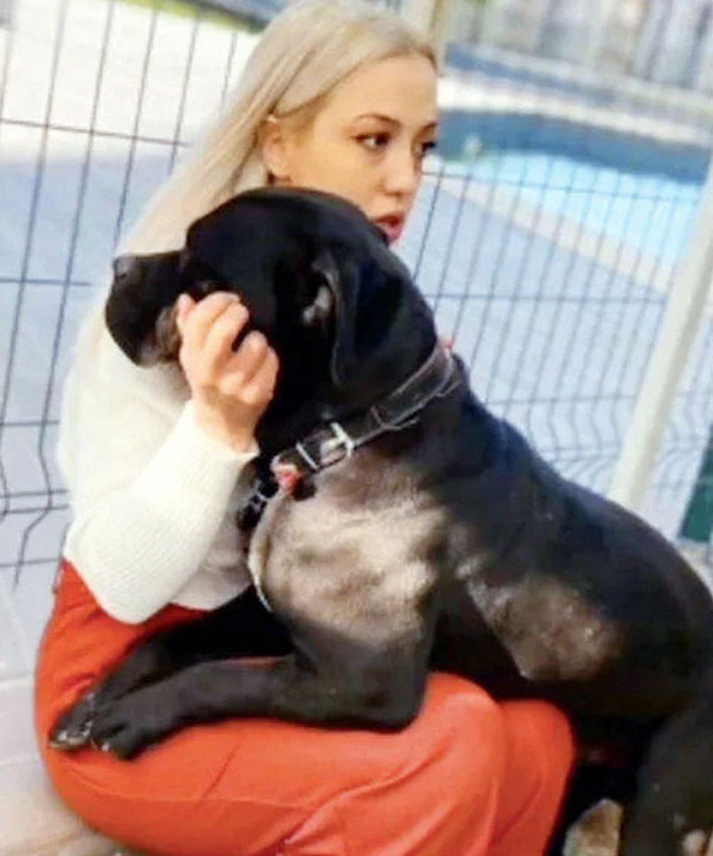 Gaziantep'teki pitbull saldırısına ilişkin görüntülerin bir kısmının silindiği belirlendi