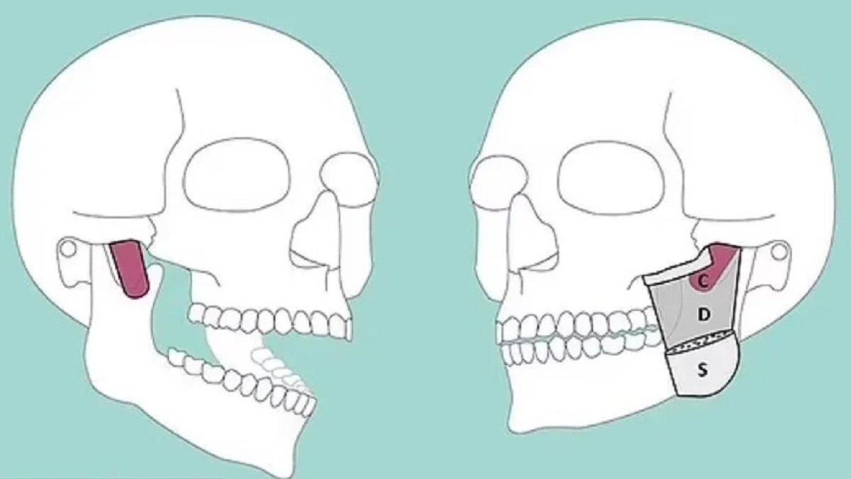 Daha önce kimse fark etmemiş! İnsan vücudunda yeni bir parça daha keşfedildi