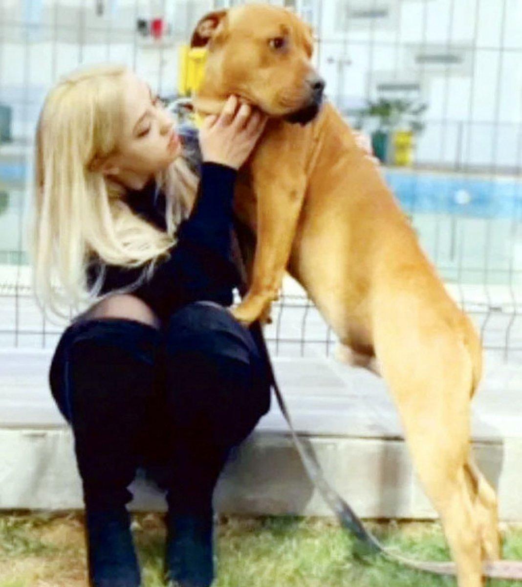 Gaziantep'teki pitbull saldırısına ilişkin görüntülerin bir kısmının silindiği belirlendi