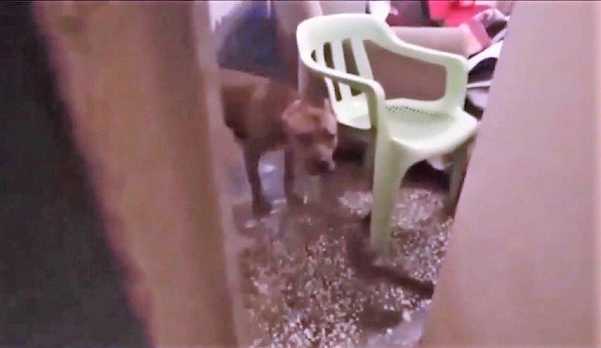 Batman'da 23 kişilik suç örgütü çökertildi