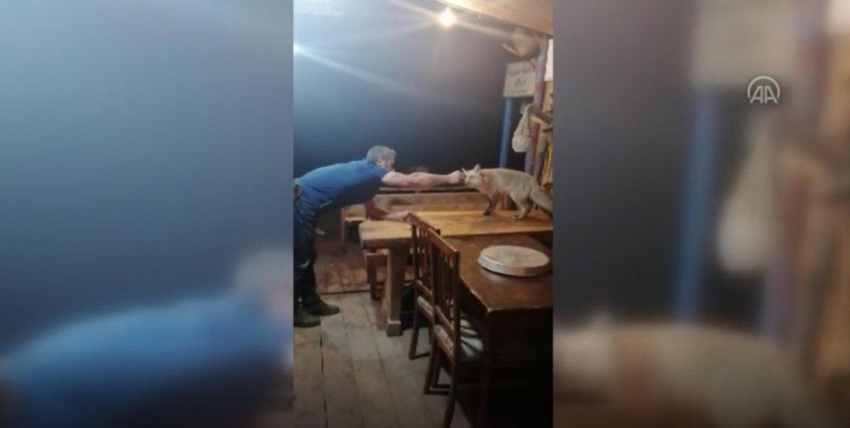 Rizeli esnafın tilkilerle gülümseten sohbeti