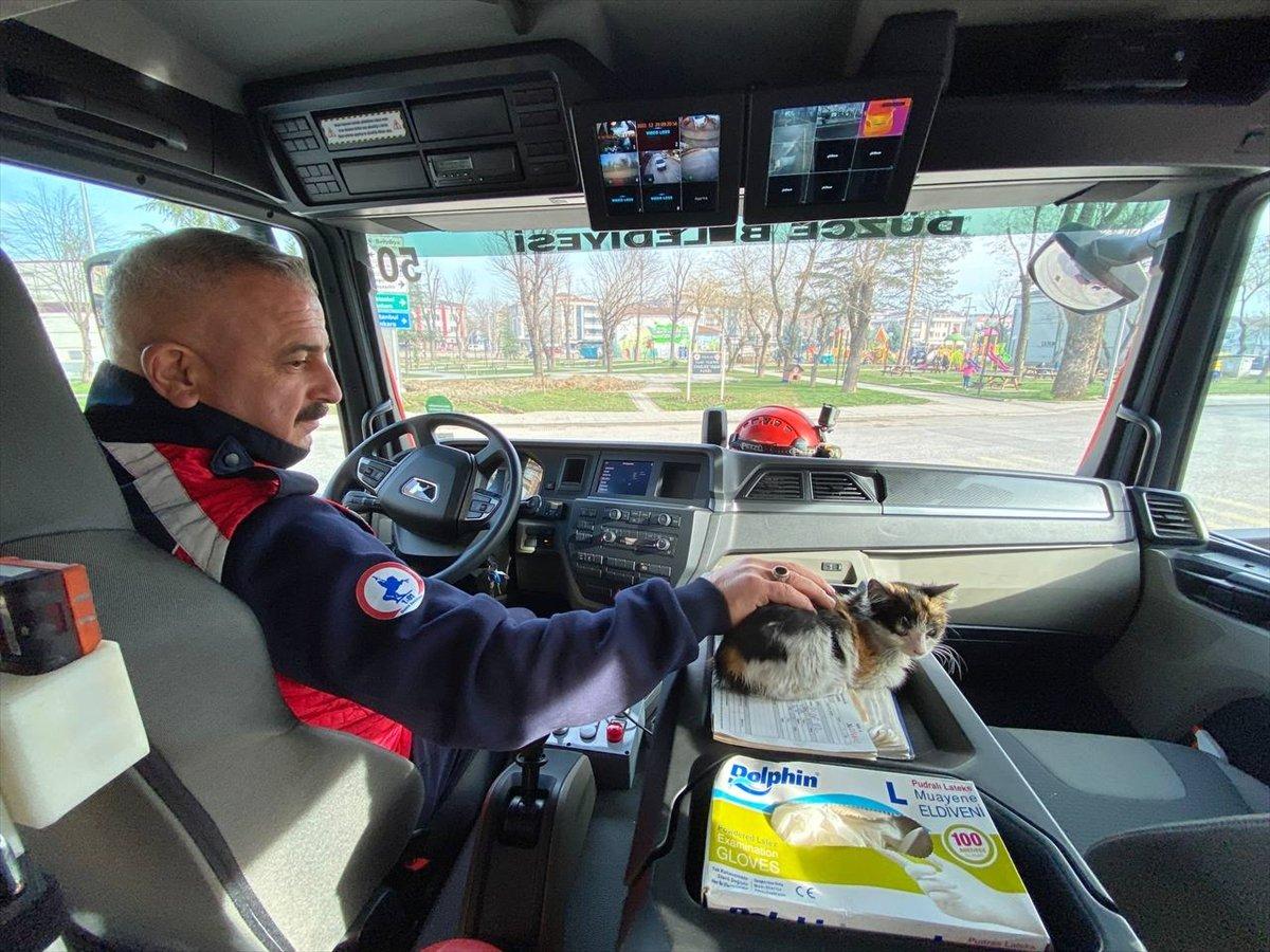 Düzce'de itfaiyenin kurtardığı kedi, yanlarından ayrılmıyor