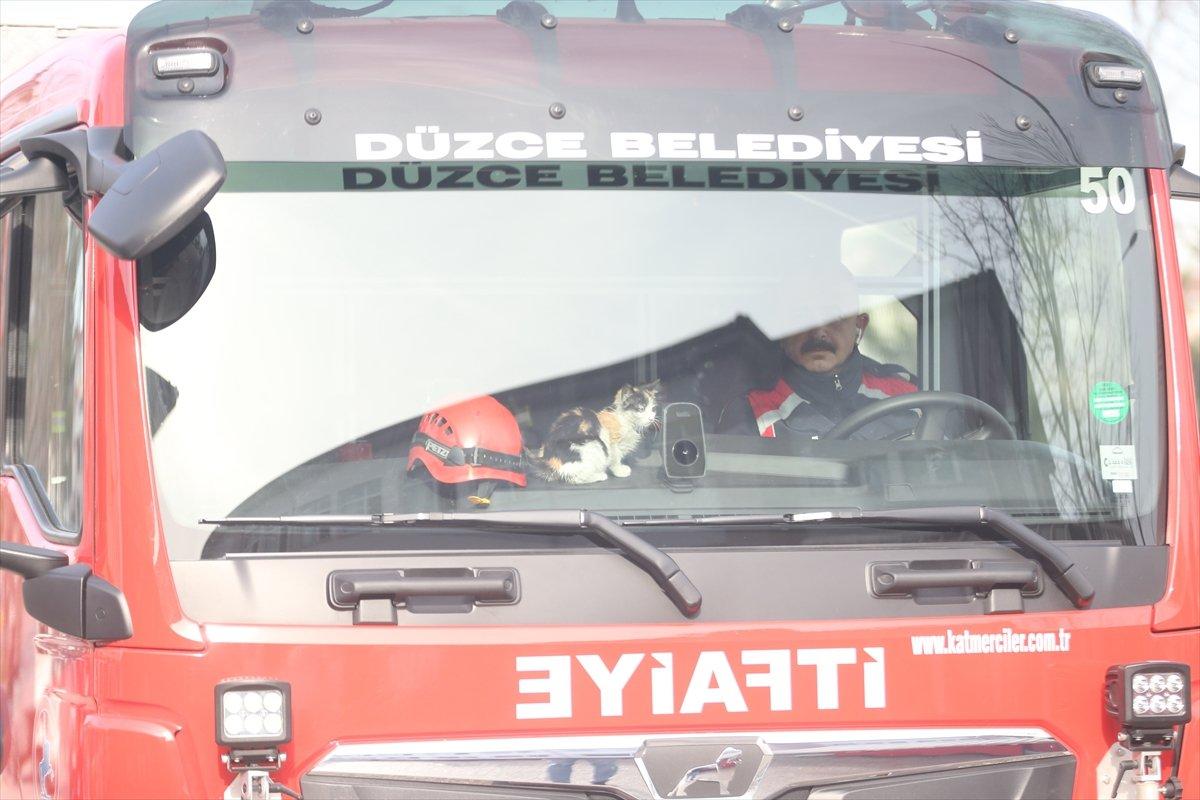 Düzce'de itfaiyenin kurtardığı kedi, yanlarından ayrılmıyor