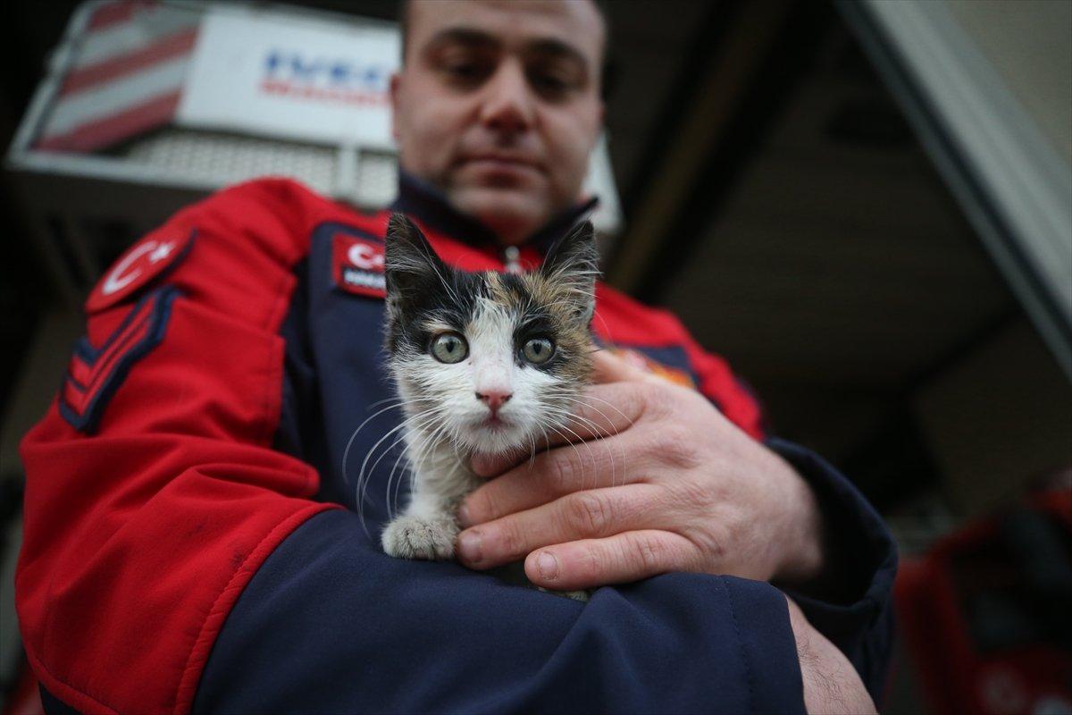 Düzce'de itfaiyenin kurtardığı kedi, yanlarından ayrılmıyor