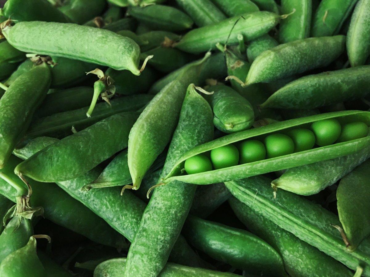 Daha sağlıklı tiroid için uzak durulması gereken 7 gıda