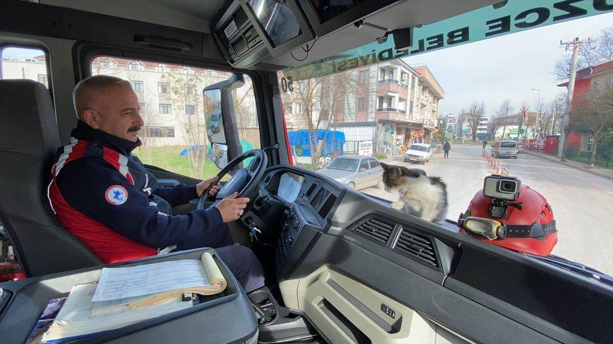 Düzce'de itfaiyenin kurtardığı kedi, yanlarından ayrılmıyor