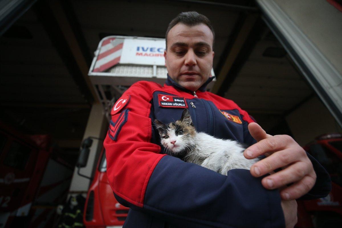 Düzce'de itfaiyenin kurtardığı kedi, yanlarından ayrılmıyor
