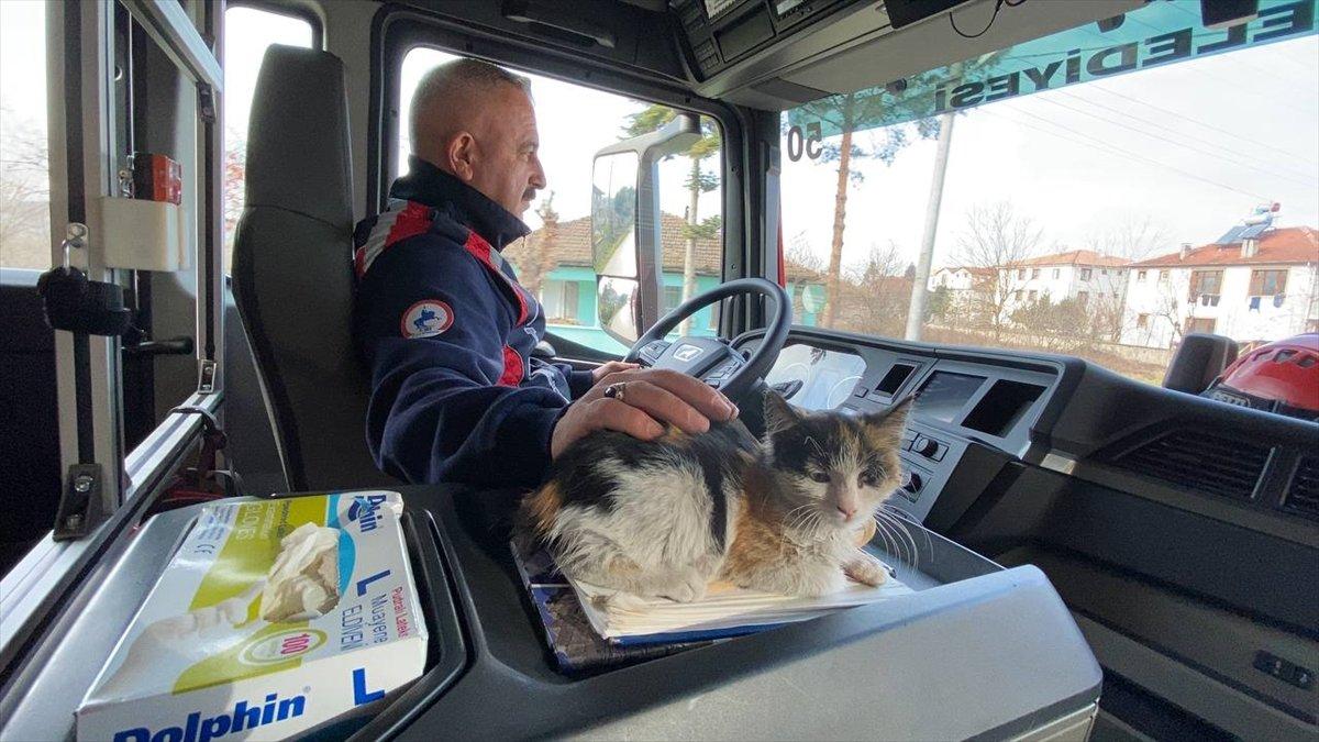 Düzce'de itfaiyenin kurtardığı kedi, yanlarından ayrılmıyor