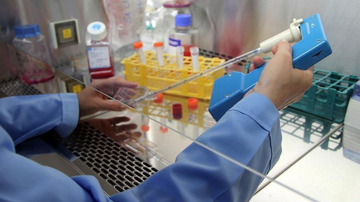 Koronavirüsün Omicron varyantı, T hücrelerini aşmakta zorlanıyor