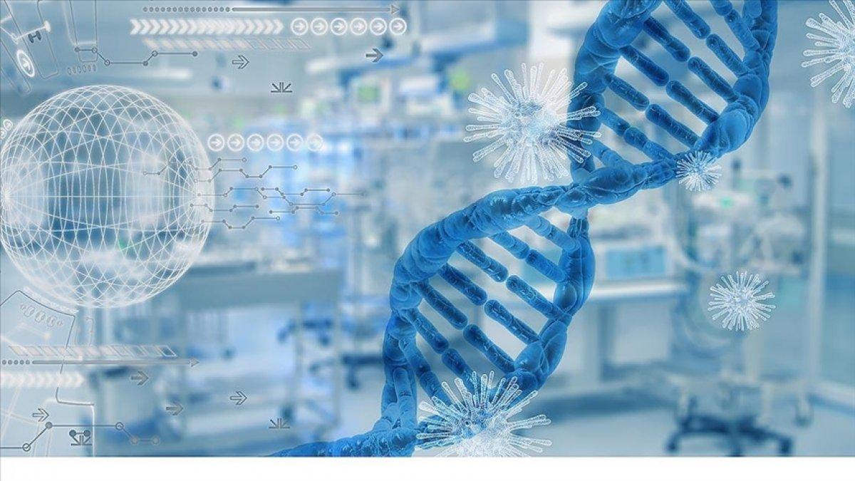 Koronavirüsün Omicron varyantı, T hücrelerini aşmakta zorlanıyor