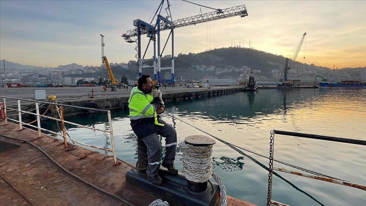 Gemide doğan kedi 'Lolipop', Türkiye'nin birçok limanını gördü