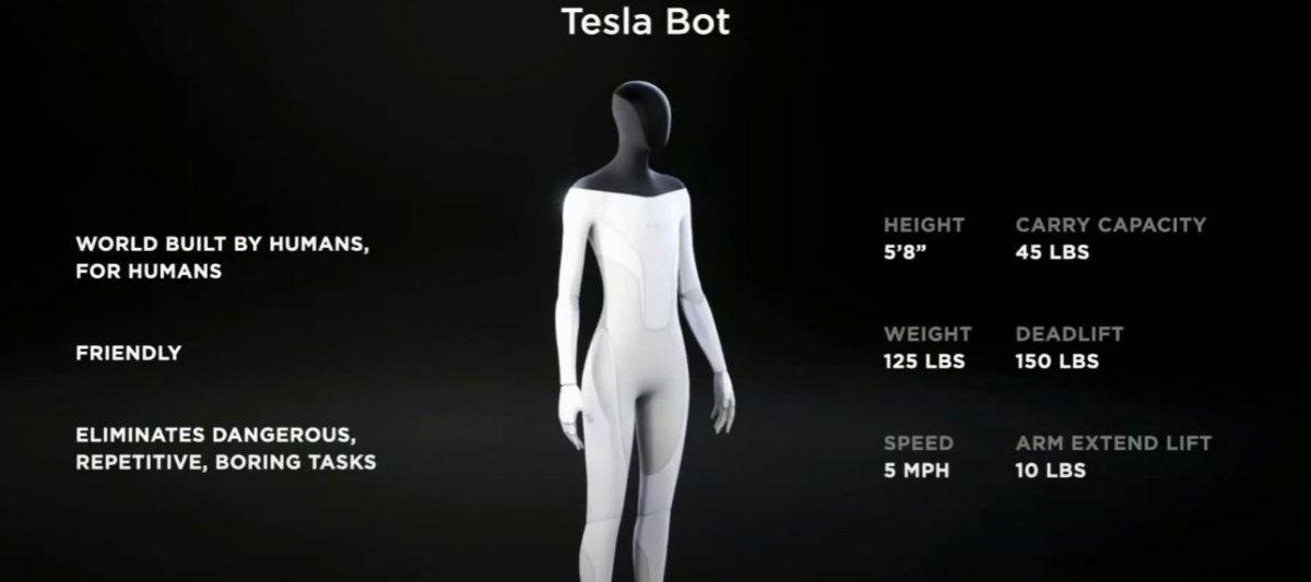 tesla bot