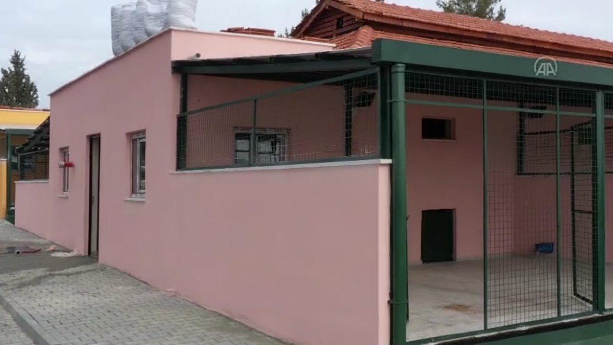 Gaziantep'teki 5 bin hayvan kapasiteli barınak, 2 ay sonra hizmete hazır