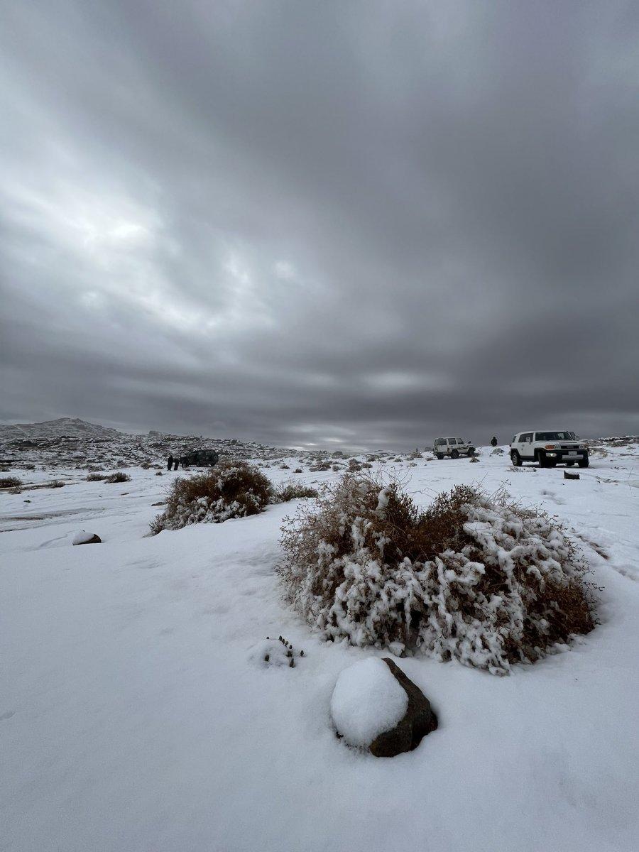 Suudi Arabistan'da kar yağışı etkisini gösterdi