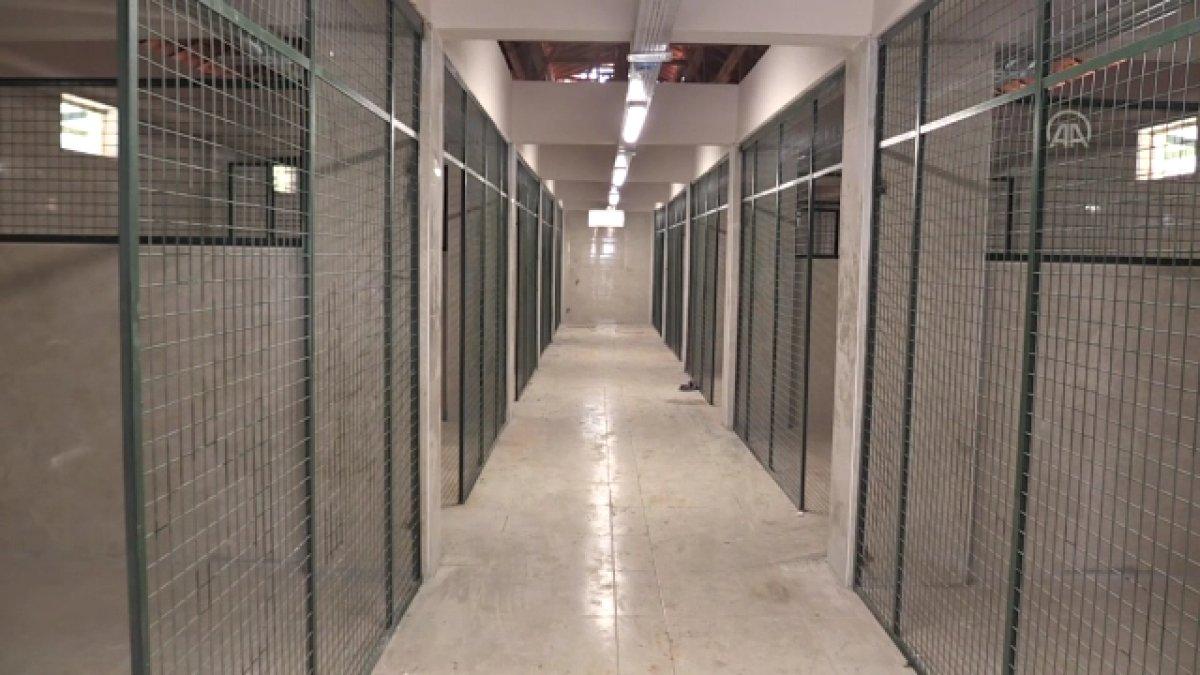 Gaziantep'teki 5 bin hayvan kapasiteli barınak, 2 ay sonra hizmete hazır