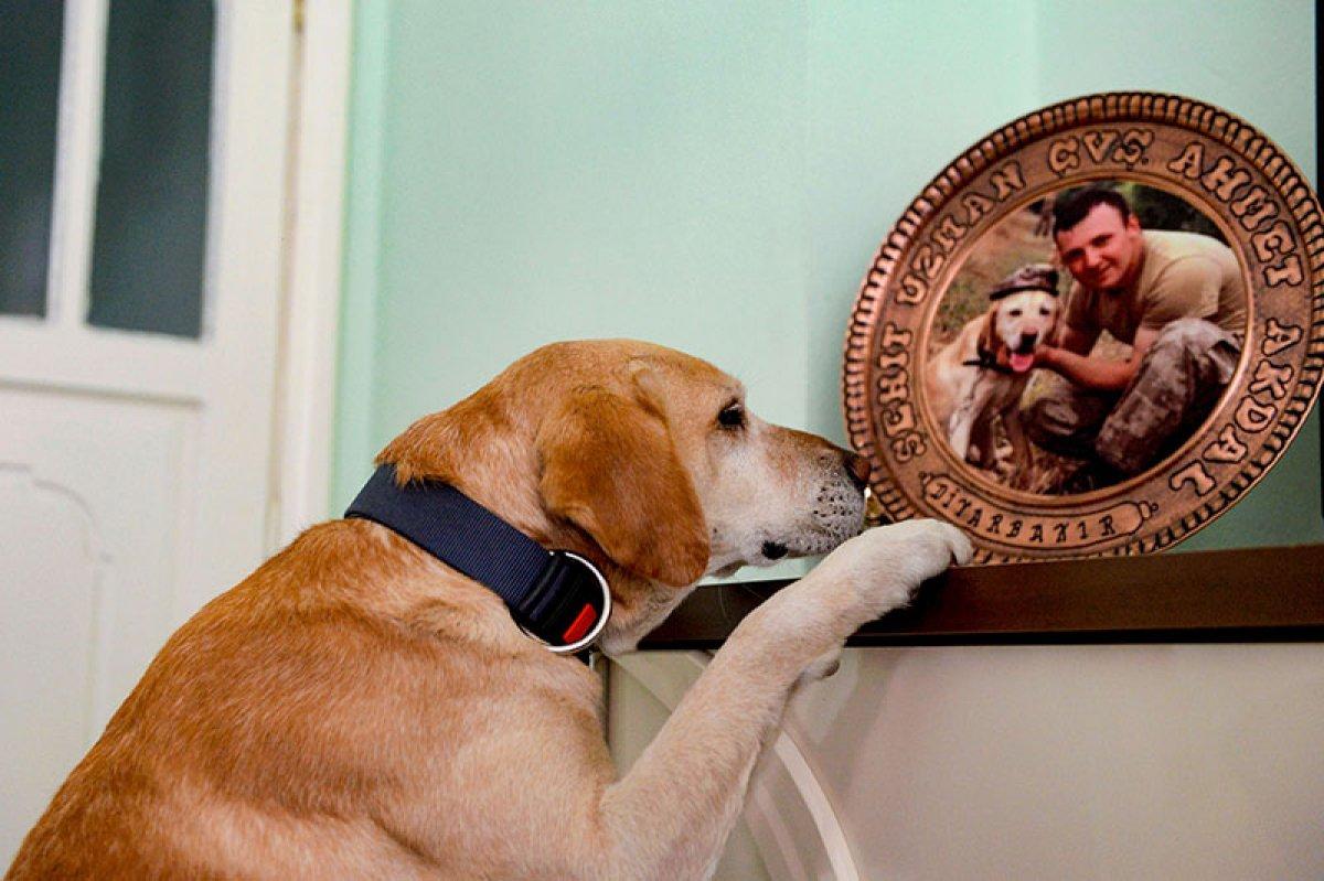 Anadolu Ajansı'nın 'Yılın Fotoğrafları' oylaması sonuçlandı