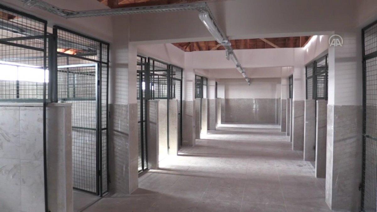 Gaziantep'teki 5 bin hayvan kapasiteli barınak, 2 ay sonra hizmete hazır