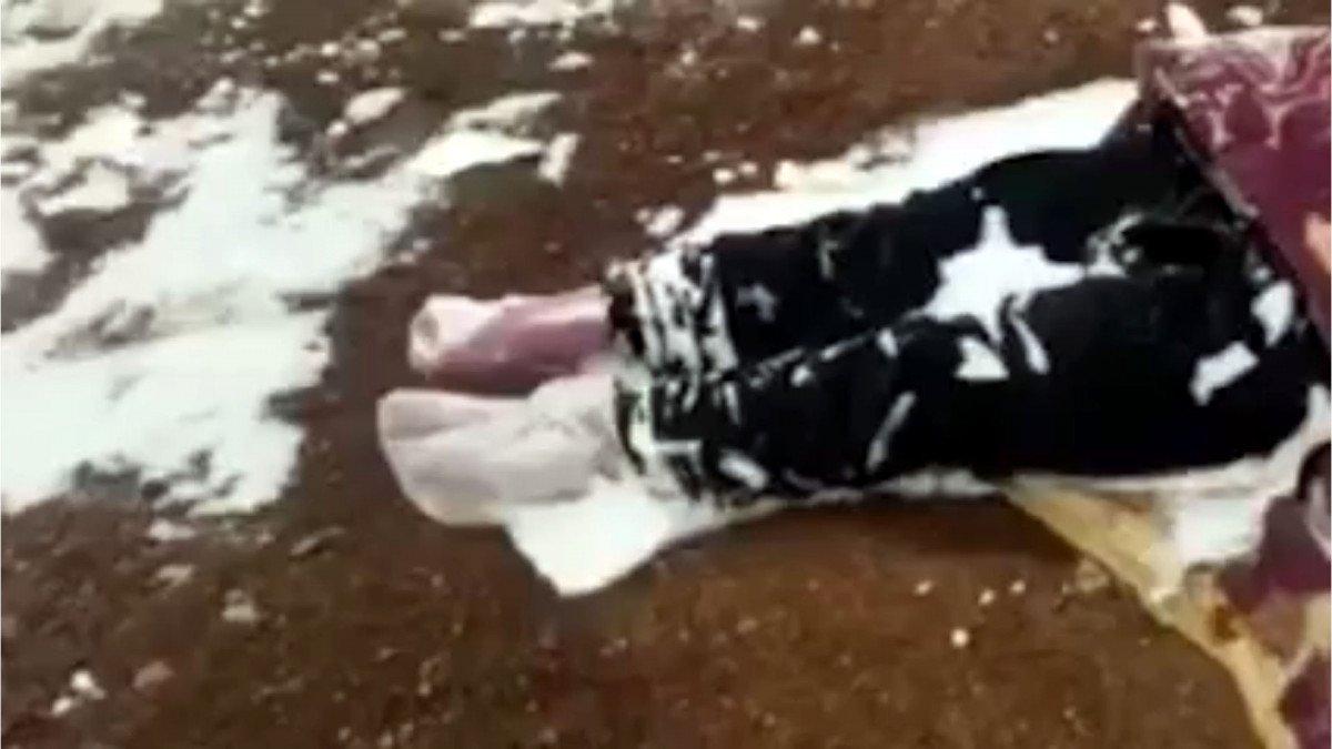 İran sınırında Afganistanlı kadın soğuktan öldü, 2 çocuk kurtarıldı