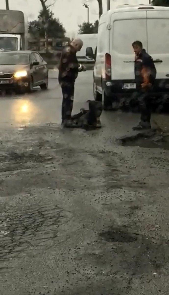 Bahçeşehir'de köpeklerin kovaladığı adam hastanelik oldu