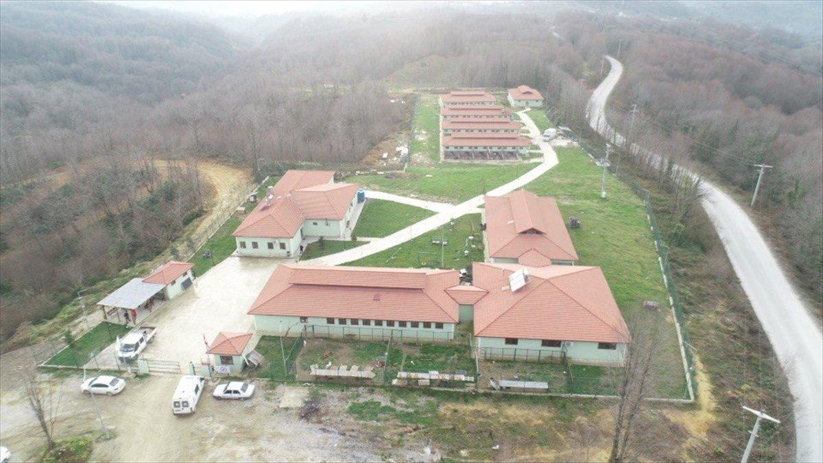 Düzce'de sokak hayvanları için 10 bin metrekarelik açık yaşam alanı