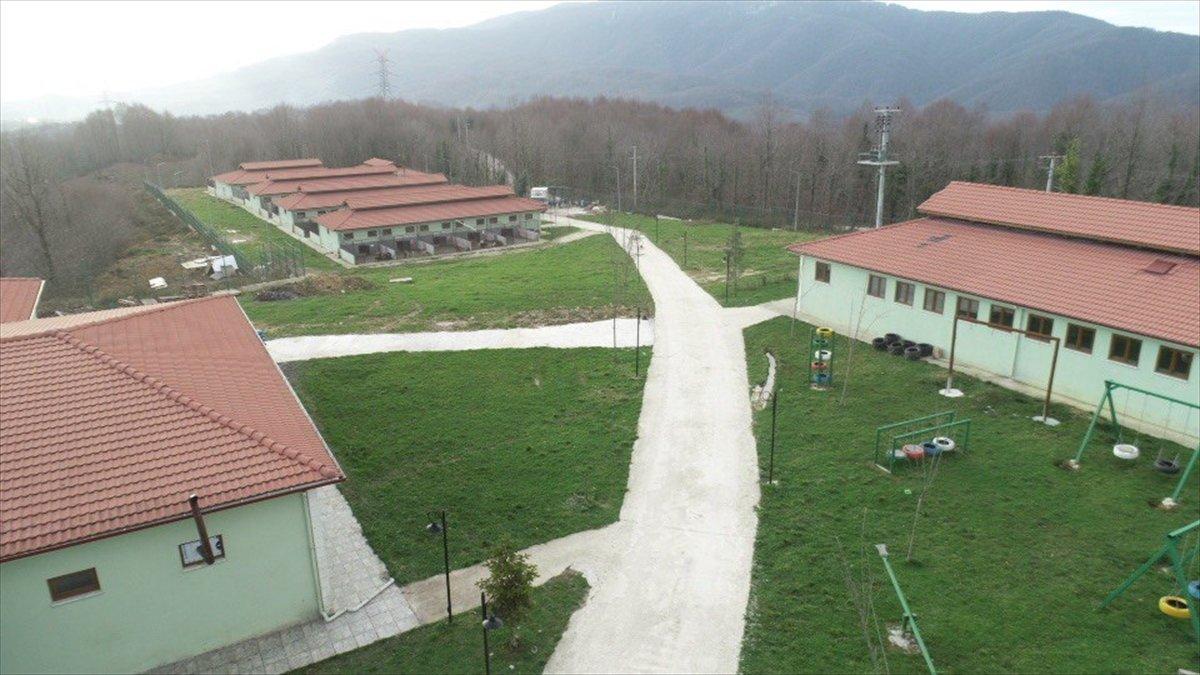 Düzce'de sokak hayvanları için 10 bin metrekarelik açık yaşam alanı