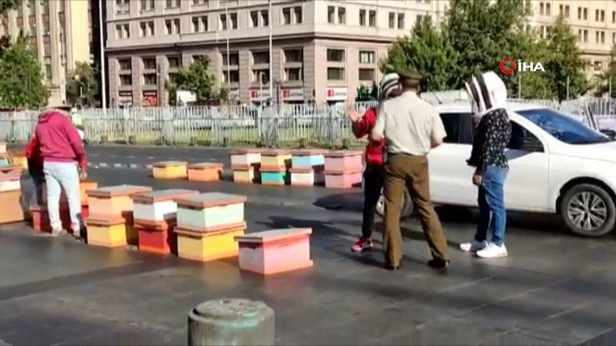 Şili’de arıcıların protestosuna müdahale eden polisleri arı soktu