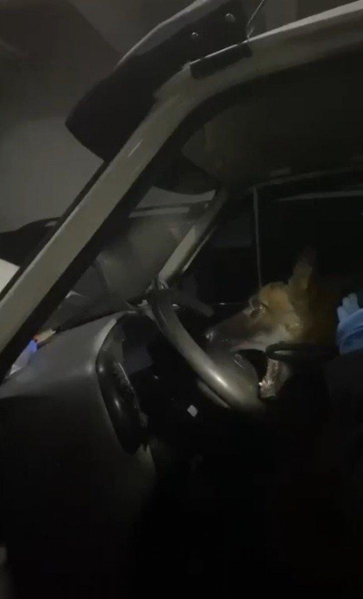 Trabzon'da minibüs direksiyonundan uyuşturucu çıktı