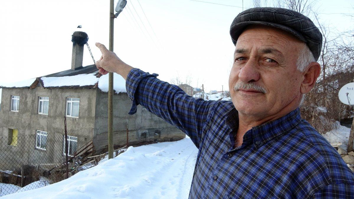 Hakkari'de göç etmeyen leylek köyün maskotu oldu