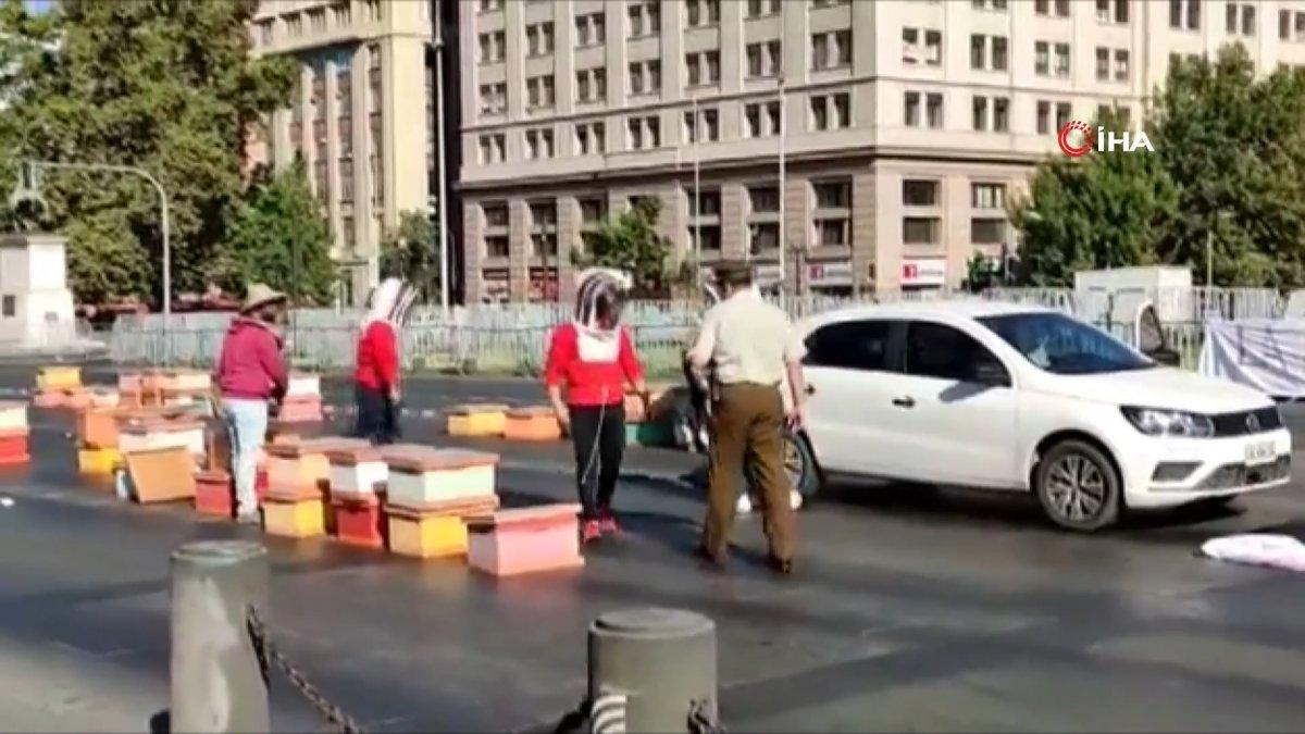 Şili’de arıcıların protestosuna müdahale eden polisleri arı soktu
