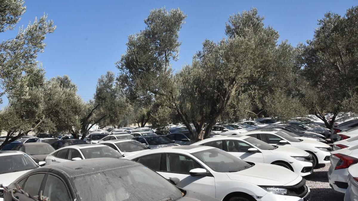 Müfettişler, sıfır araçların stoklandığını belirledi