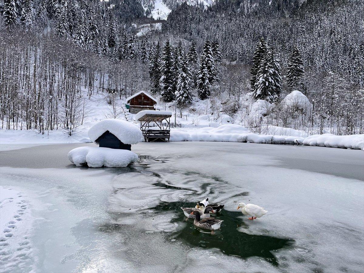 Rize'de beyaza bürünen milli parkta görsel şölen
