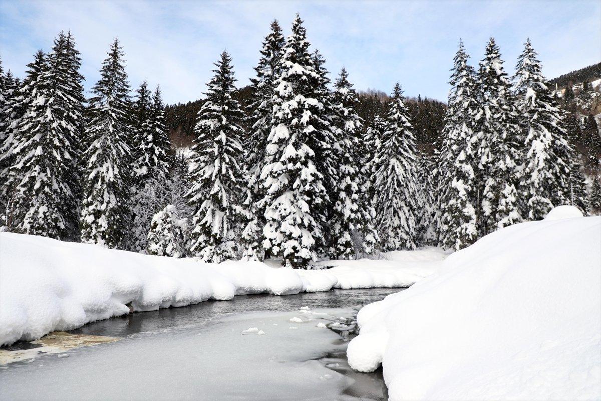 Rize'de beyaza bürünen milli parkta görsel şölen