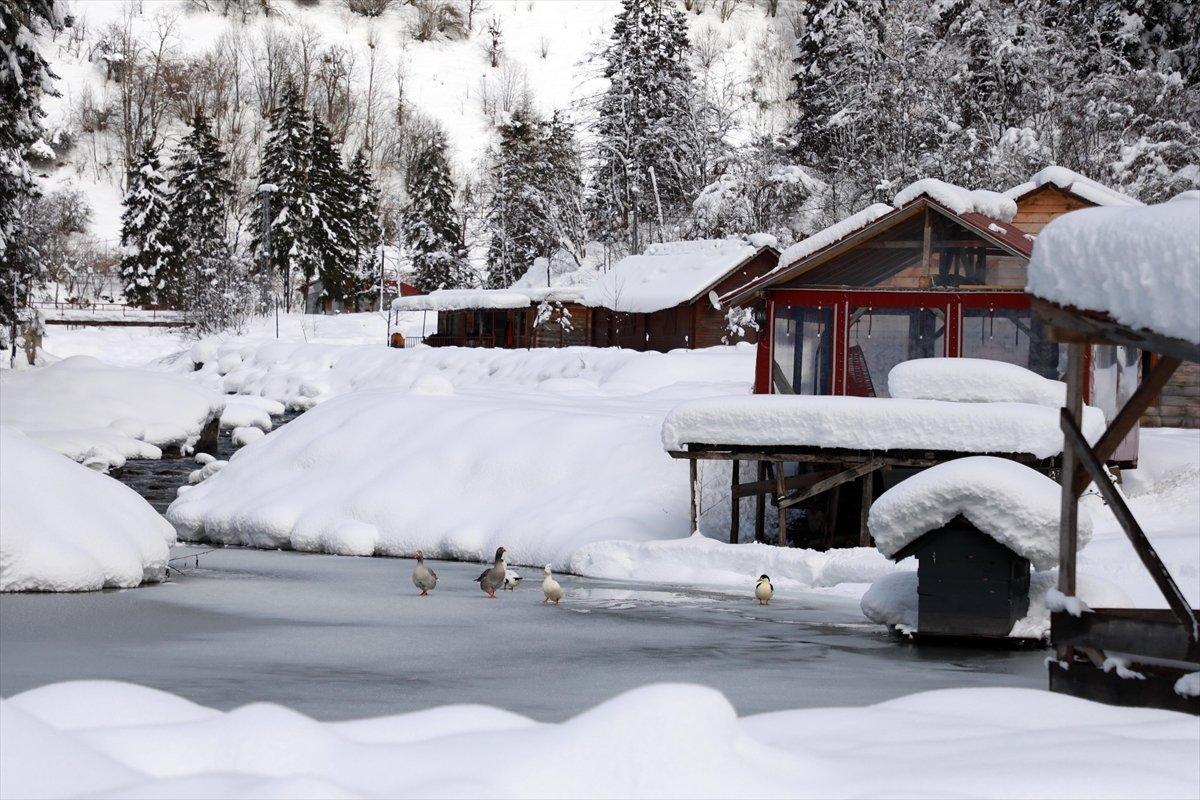 Rize'de beyaza bürünen milli parkta görsel şölen