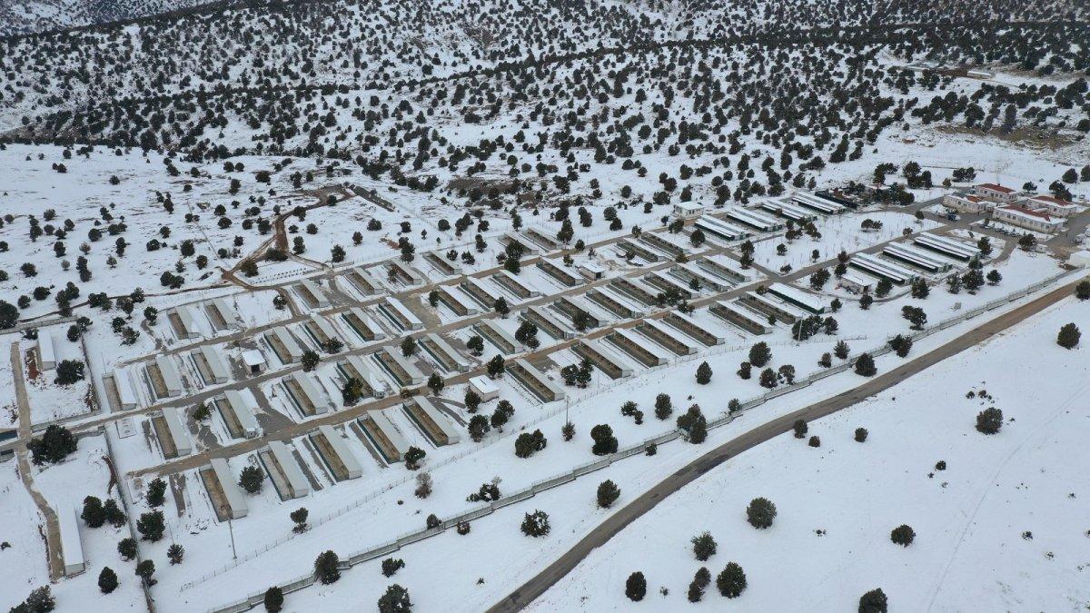 Konya'daki 100 bin metrekarelik barınakta sahipsiz hayvanların yaraları sarılıyor