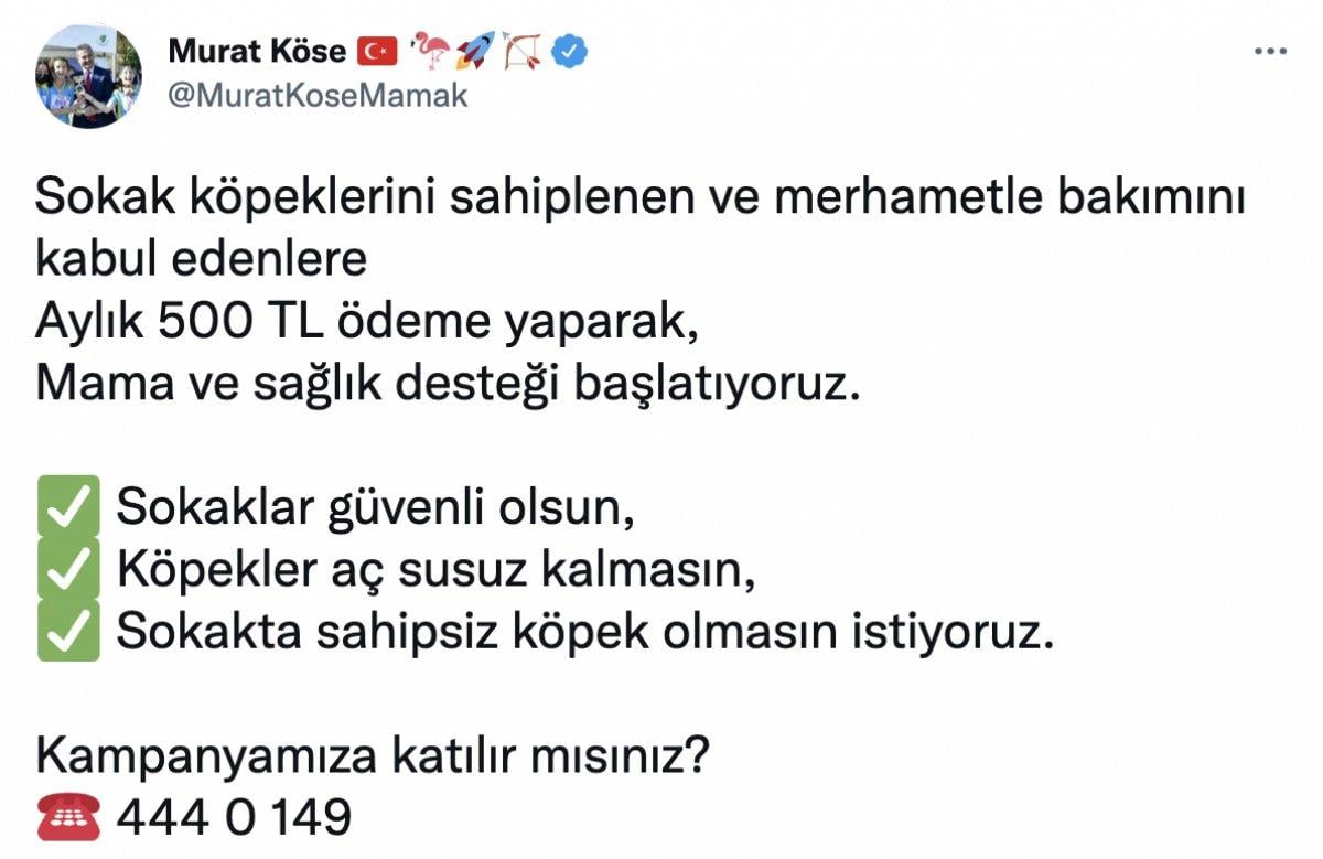 Mamak'ta sokak hayvanlarını sahiplenenlere maddi destek